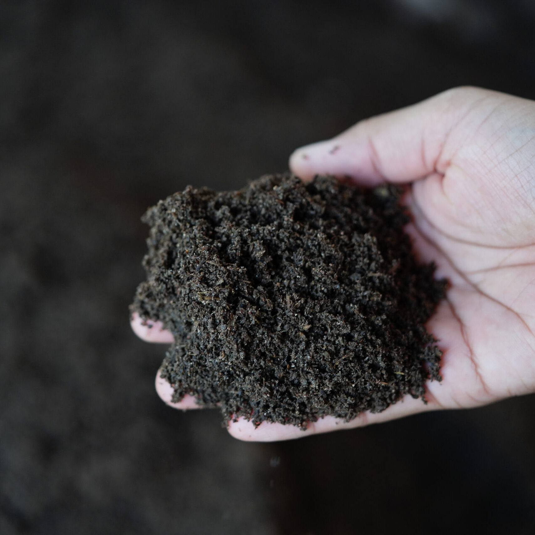 Vermicompost fertilizer for planting trees